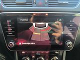 Škoda Superb (2019) 2.0TDI, ČR, Ambition, DSG - náhled 15