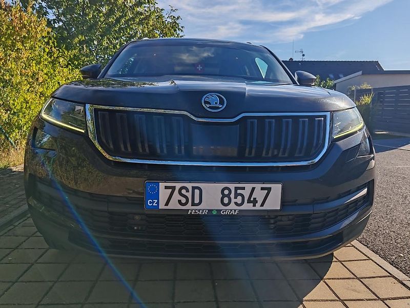 Škoda Kodiaq (2018) - fotka 11 z 22