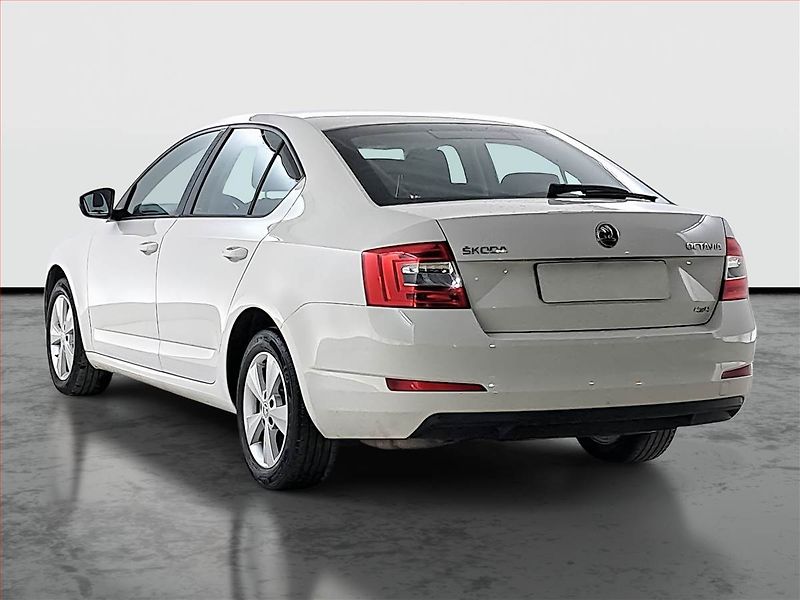 Škoda Octavia (2016) 2.0 TDI 4x4, 4X4, Tempomat - fotka 4 z 19