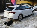 Škoda Octavia (2020) 2.0 TDI 110kW DSG ACC MATRIX - náhled 11