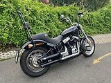 Harley-Davidson FXST Softail Standard (2020) - náhled 2