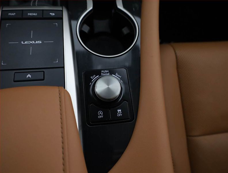 Lexus RX 400h (2022) 300 - fotka 14 z 21