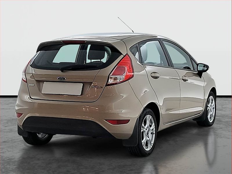 Ford Fiesta (2016) 1.0 EcoBoost, Vyhř. sedaček - fotka 5 z 15