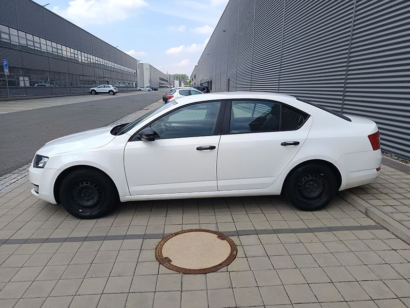 Škoda Octavia (2014) - fotka 14 z 55