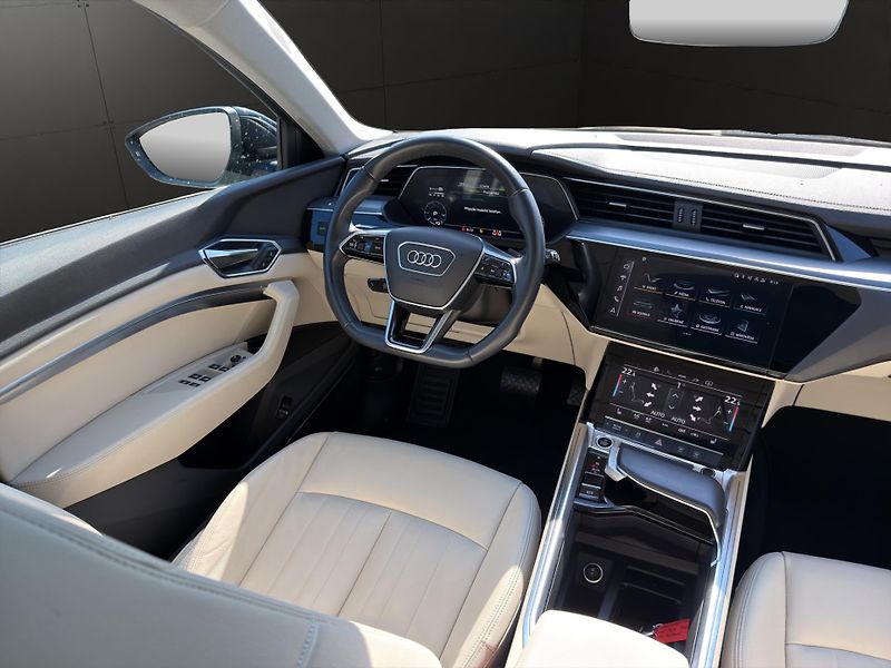 Audi e-tron (2023) 55 300KW 21 ALU PANORAMA - fotka 14 z 27
