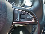Škoda Octavia (2013) 1.6 TDi, 2.maj,ČR, Elegance - náhled 14