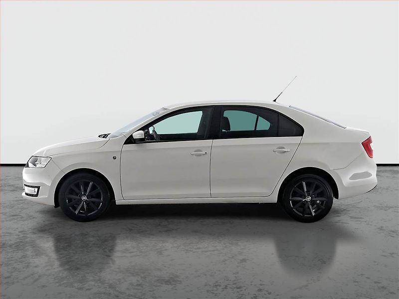 Škoda Rapid (2014) 1.2 TSI, Tempomat - fotka 3 z 17