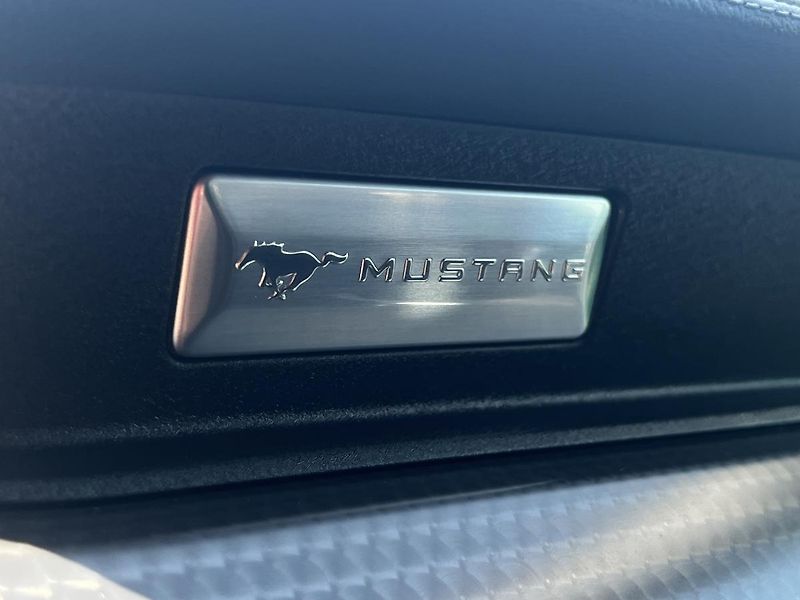 Ford Mustang (2018) GT Supercharger 5.0 V8, 750HP - fotka 36 z 48