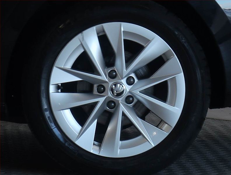 Škoda Octavia (2023) 2.0 TDI - fotka 15 z 19