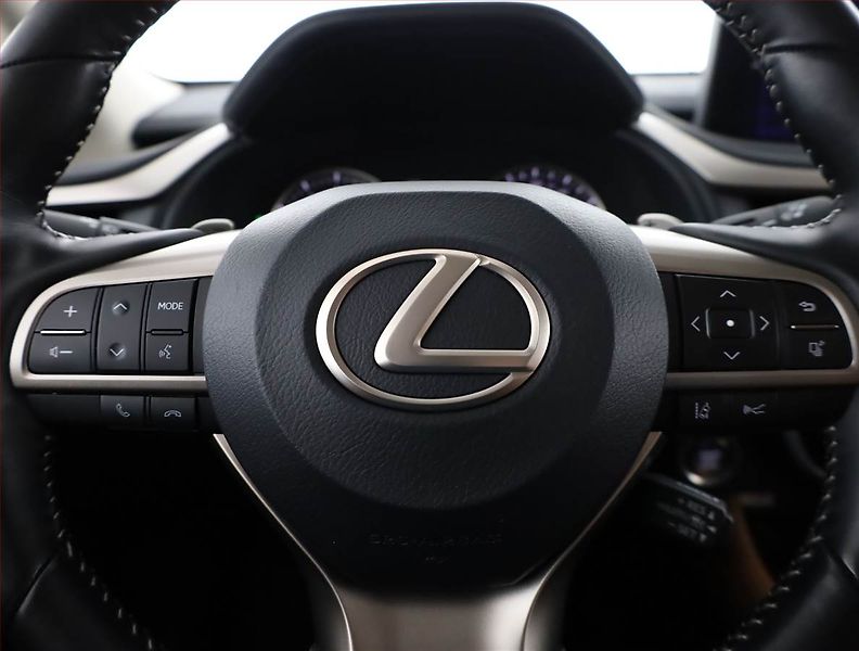 Lexus RX 400h (2022) 300 - fotka 8 z 21
