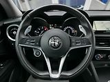 Alfa Romeo Stelvio 2,2 JTD Q4 154kW Automat - náhled 29