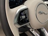 Jaguar F-Pace P250 SE R-DYNAMIC AWD AUT  - náhled 19