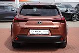 Lexus UX 300h UX300h 2,0 HEV Business Tech - náhled 6