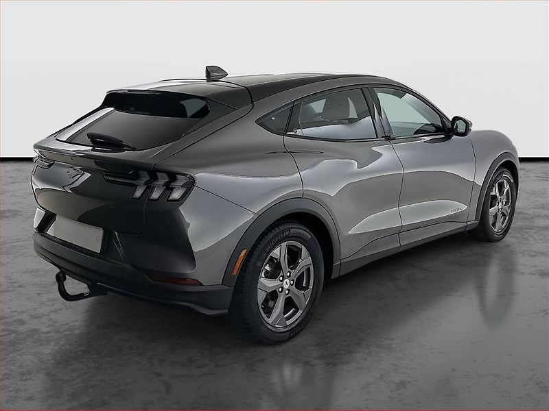 Ford Mustang Mach-E (2020) Standard Range RWD, SoH 94% - fotka 5 z 25
