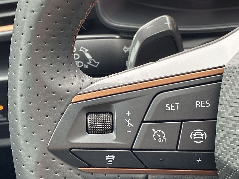 Cupra Formentor (2024) 2.0 TSI DSG 4Drive - fotka 18 z 46