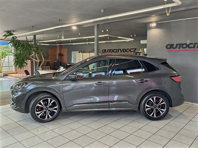 Ford Kuga 2.0 EcoBlue 140kW ST-Line 4x4 - fotka 4 z 28