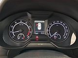 Škoda Octavia (2014) RS 2.0 TSI, Serv.kniha, Kůže - náhled 11