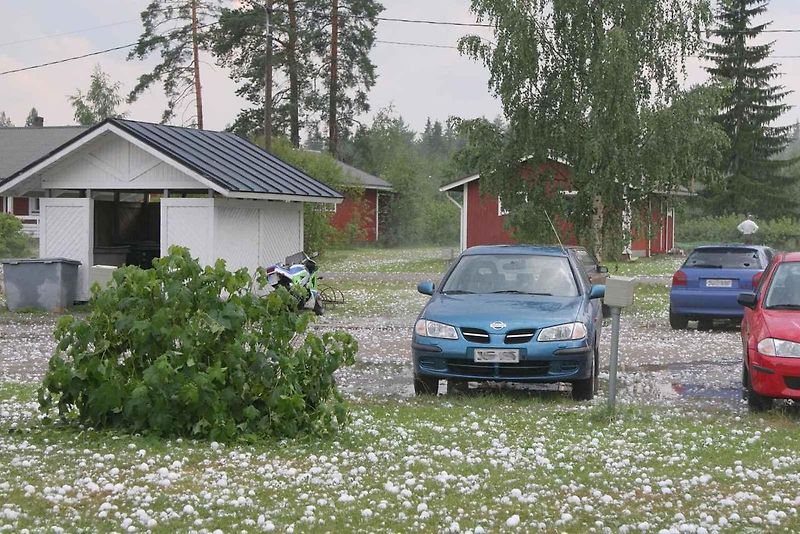 Improvizovanou ochranou před padajícími kroupy může být fólie.
