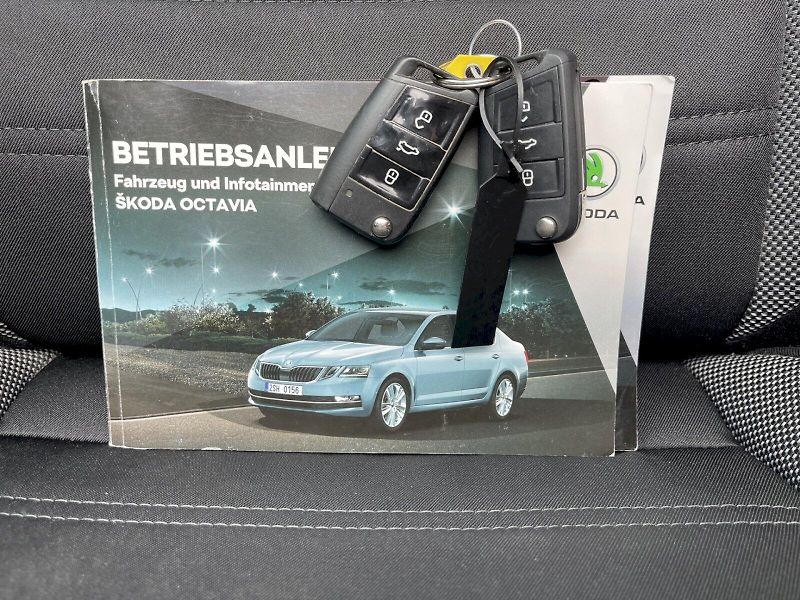 Škoda Octavia (2018) 1.4 TSI 110kW DSG Ambition Plu - fotka 31 z 33