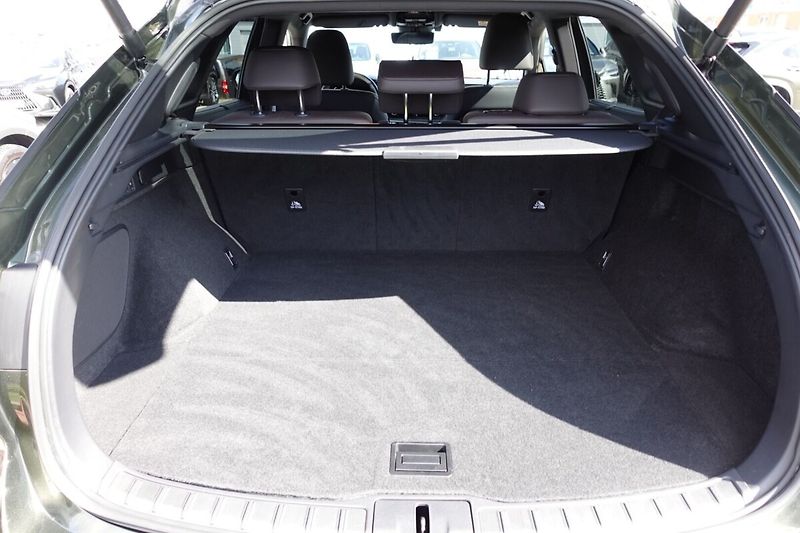 Lexus RX 450h plus RX450h+ Plug-in Luxury - fotka 14 z 36
