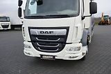 DAF LF (2021) / 260 / ACC / E 6 / FIRANKA /  - náhled 24