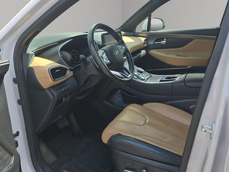Hyundai Santa Fe (2022) LUXURY 2.2 CRDi DCT 4x4, 7 mís - fotka 9 z 30