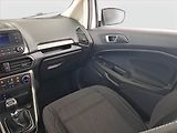 Ford EcoSport (2018) 1.0 EcoBoost, Tempomat - náhled 8