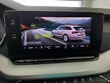 Škoda Octavia (2022) Combi 2.0 TDI (110kW/150k) DSG - náhled 15