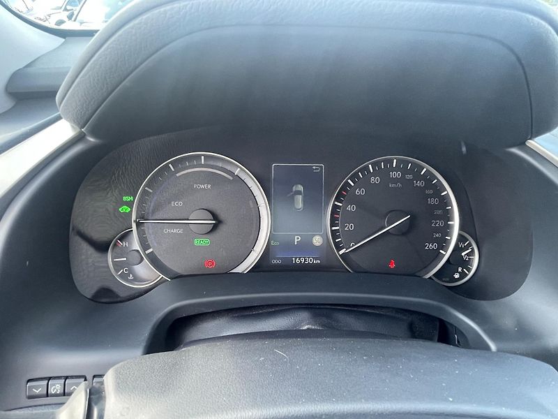 Lexus RX 450h (2021) 3.5 LIMITED EDITION - fotka 18 z 25