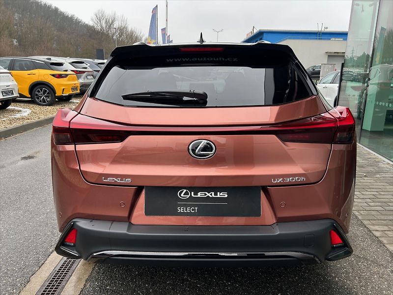 Lexus UX 300h (2025) 2.0   F Sport Design Bi- Tone - fotka 5 z 11