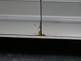 Volkswagen Multivan - náhled 13