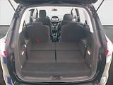 Ford Grand C-MAX (2016) 1.0 EcoBoost, 7 míst, ČR,1.maj - náhled 13