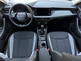 Škoda Kamiq 1.0TSi 116PS KAMERA+PDC P/Z Sm - náhled 35