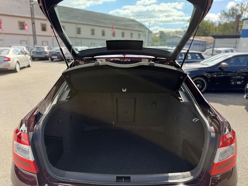 Škoda Octavia 2.0 TDi, 110kw, pano, taž. ČR - fotka 10 z 20