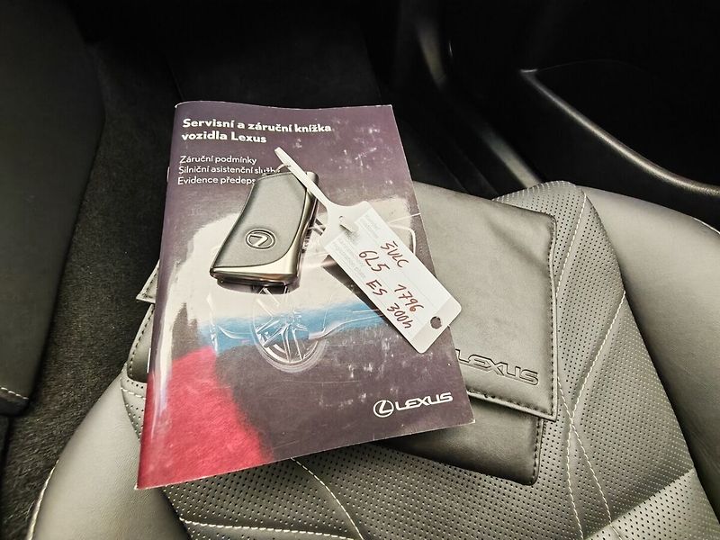 Lexus ES 300h 300h Luxury - fotka 49 z 49