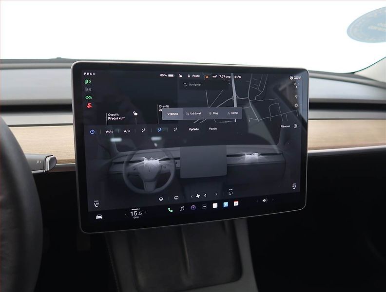 Tesla Model 3 (2021) Std Range Plus LFP, SoH 93% - fotka 17 z 33