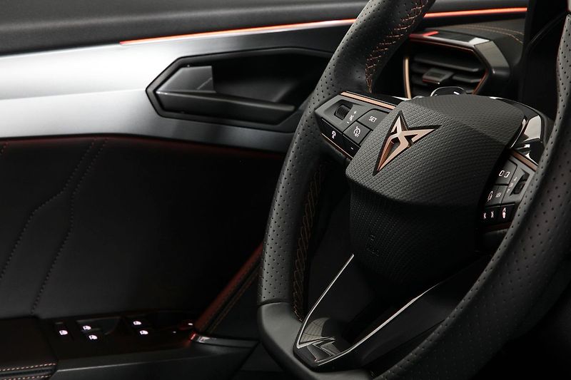 Cupra Formentor 2.0TSI 140kW DSG Matrix ZÁRUKA - fotka 18 z 37