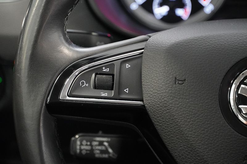 Škoda Octavia 1.6TDI,ČR,NAVI,Adaptivní temp. - fotka 19 z 32