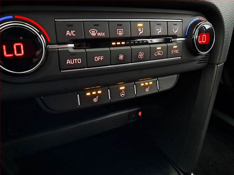 Kia XCeed (2019) 1.4 T-GDI, ČR,1.maj - fotka 18 z 19