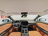 Lexus RZ 450e 450e DIRECT4 LUXURY Elektro 15 - náhled 13
