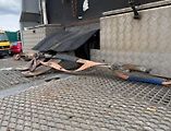 DAF CF (2015) 510 8x2 odtahovka EURO 6 - náhled 4