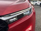 Honda CR-V 2.0e:HEV, ČR, 4x4, panorama - náhled 8
