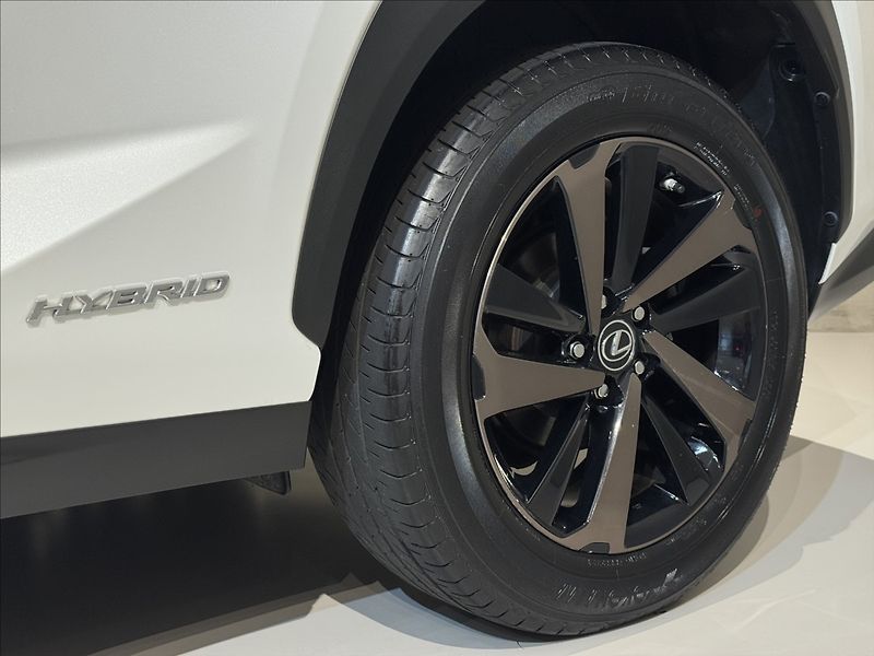 Lexus NX 300h 2,5   Hybrid Luxury LED Assist - fotka 6 z 47