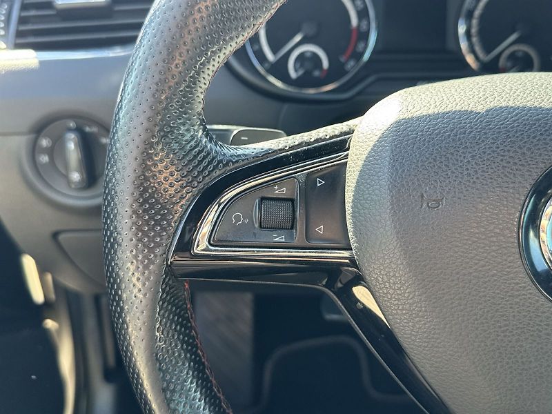 Škoda Octavia (2015) 2.0 TDI DSG RS - fotka 14 z 31