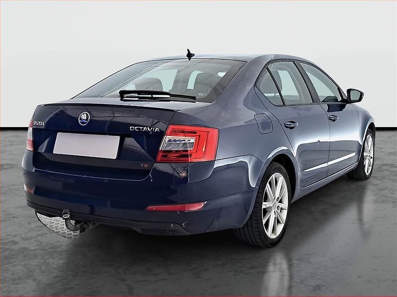 Škoda Octavia (2013) 1.8 TSI, Automat, Navi, Xenony - fotka 5 z 19