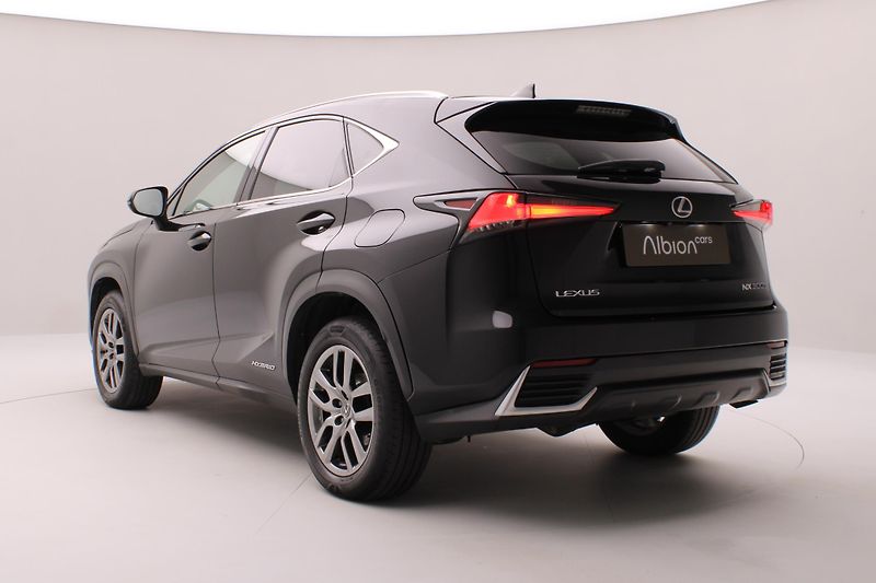 Lexus NX 300h AWD AUT CZ  - fotka 10 z 44