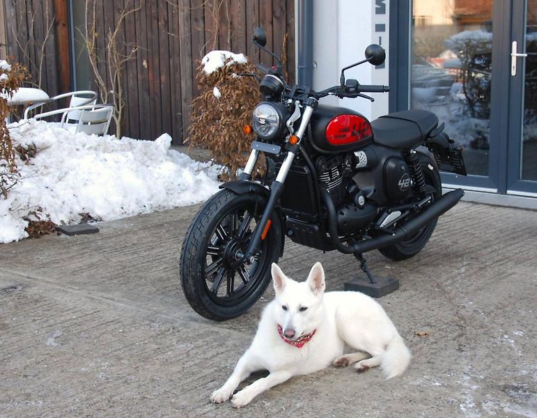 Jawa 42 (2026) 350 CL 42 - fotka 9 z 25
