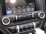 Ford Mustang 5,0 Ti-VCT 310kW V8 GT Aut. - náhled 21