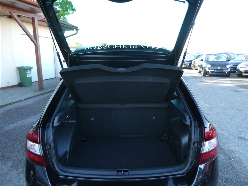 Škoda Rapid 1,6 TDi 85kW MonteCarlo, ČR - fotka 17 z 43