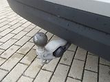 Škoda Kodiaq (2024) 2,0TDi /110kW DSG Selection - náhled 23
